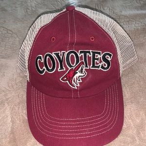 Arizona coyotes hockey team snap back
